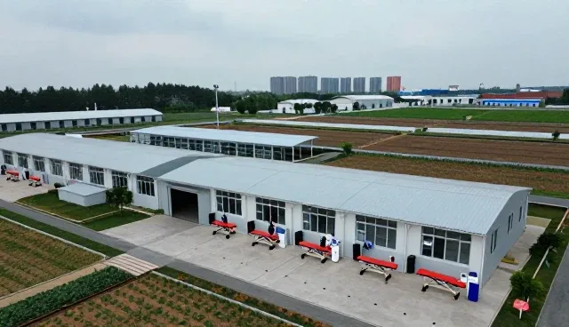 健康检查后康复指导服务的市场趋势与应用前景